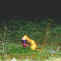 crystal_fog.jpg (63361 bytes)