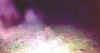 ovcropfog14b.jpg (73839 bytes)