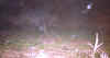 ovcropfog15b.jpg (77406 bytes)