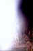ovcropfog16b.jpg (44005 bytes)