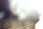 ovcropfog1b.jpg (57752 bytes)