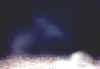 ovcropfog7b.jpg (48923 bytes)