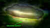 ufo10b_ports.jpg (16992 bytes)