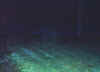 walglobe.jpg (49222 bytes)